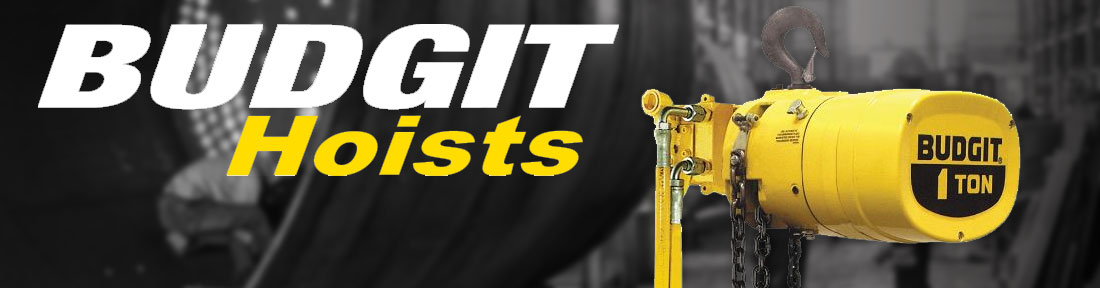 Budgit Hoists